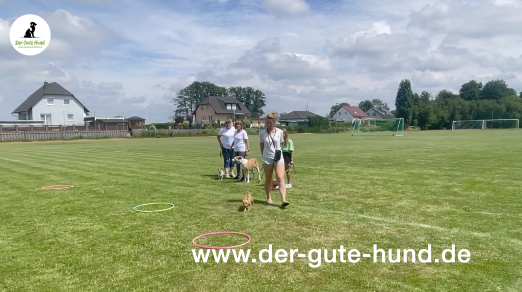 Der Gute Hund in der Grundschule Germendorf - Video